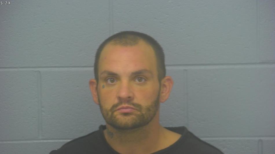 Arrest photo of MATTHEW BRESSMAN