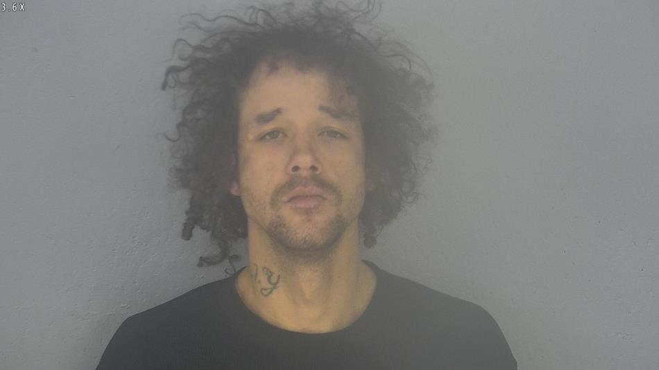 Arrest photo of MATTHEW STEELE