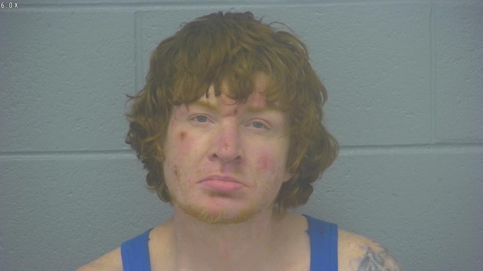 Arrest photo of MATTHEW LAMORA