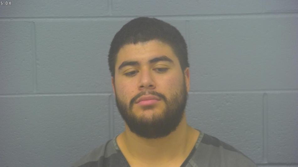 Arrest photo of MATTHEW FERNANDEZ