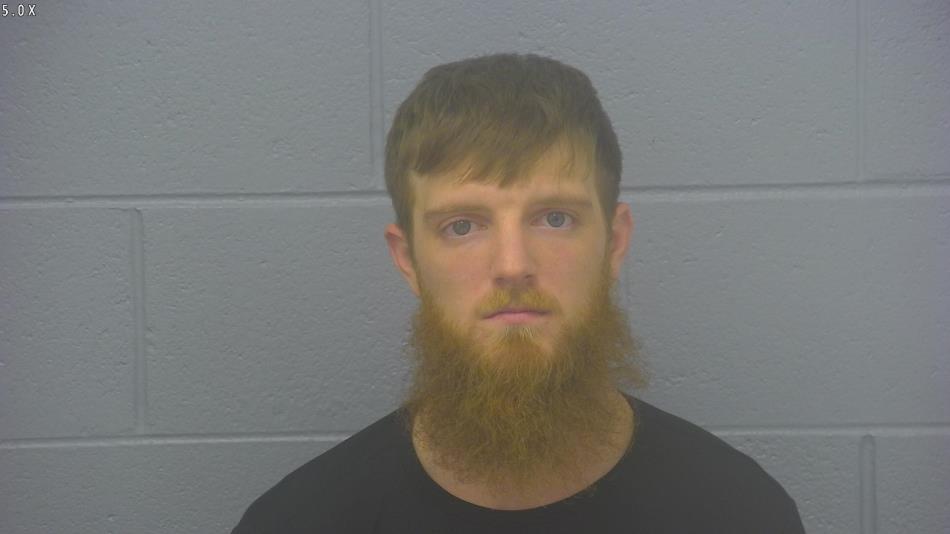 Arrest photo of MATTHEW WILLIAMS