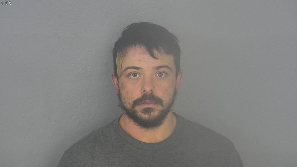 Arrest photo of MATTHEW RADOSH