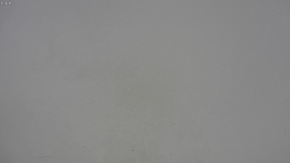 Arrest photo of MAX BRUNE