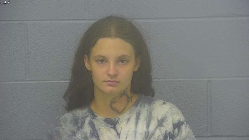 Arrest photo of MCKENZIE HARVEY