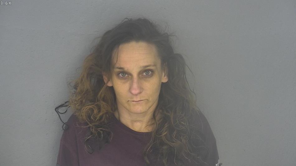Arrest photo of MEAGAN CLIMER