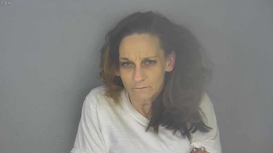 Arrest photo of MEAGAN CLIMER