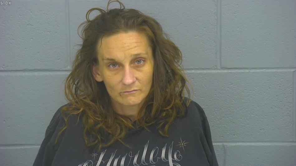 Arrest photo of MEAGAN CLIMER