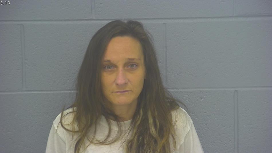 Arrest photo of MEAGAN CLIMER