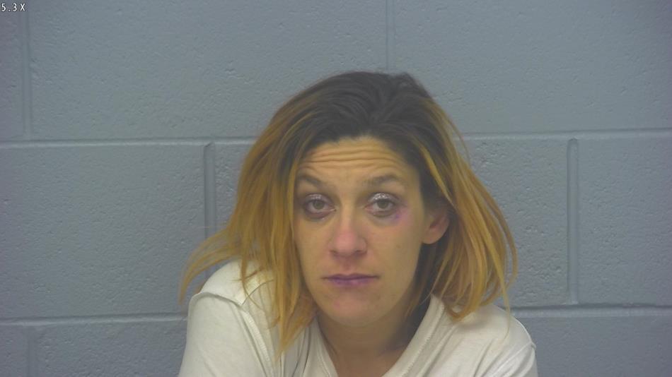 Arrest photo of MEGAN BUCKNER