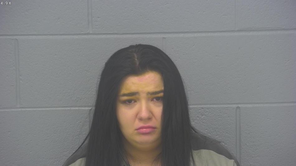 Arrest photo of MEGAN GRAHAM