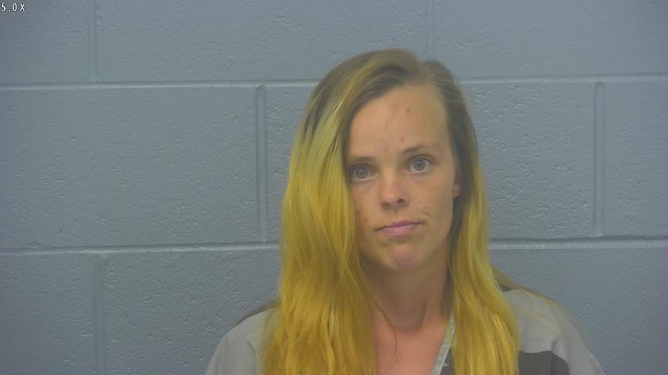 Arrest photo of MEGAN WILCOX