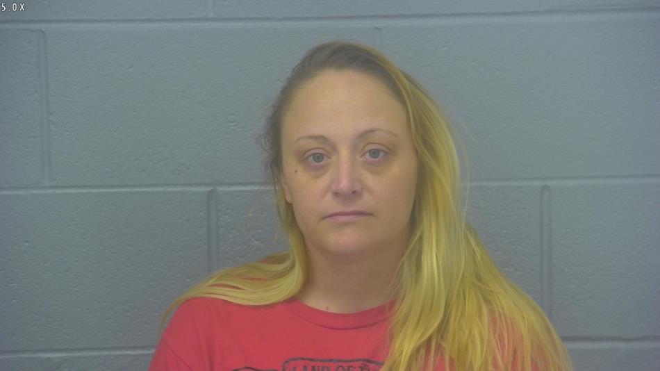 Arrest photo of MEGAN DETHERAGE