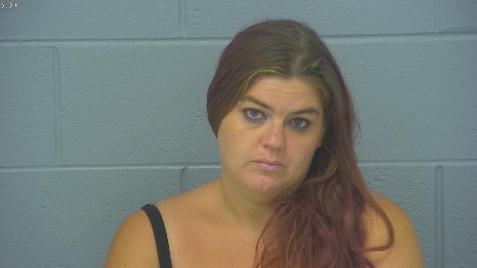 Arrest photo of MEGAN DAY