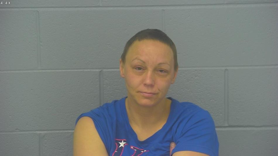 Arrest photo of MEGAN BOWLES