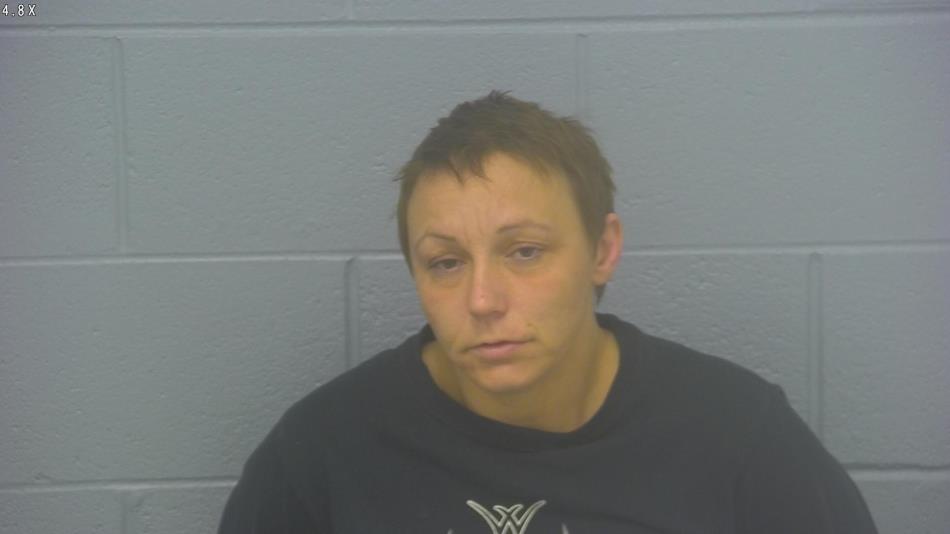 Arrest photo of MEGAN MOLLER