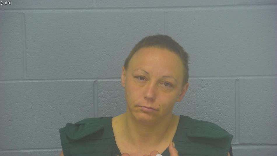 Arrest photo of MEGAN MOLLER