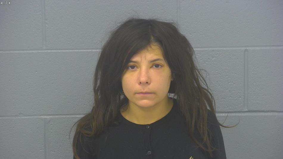 Arrest photo of MEGAN BRUHN