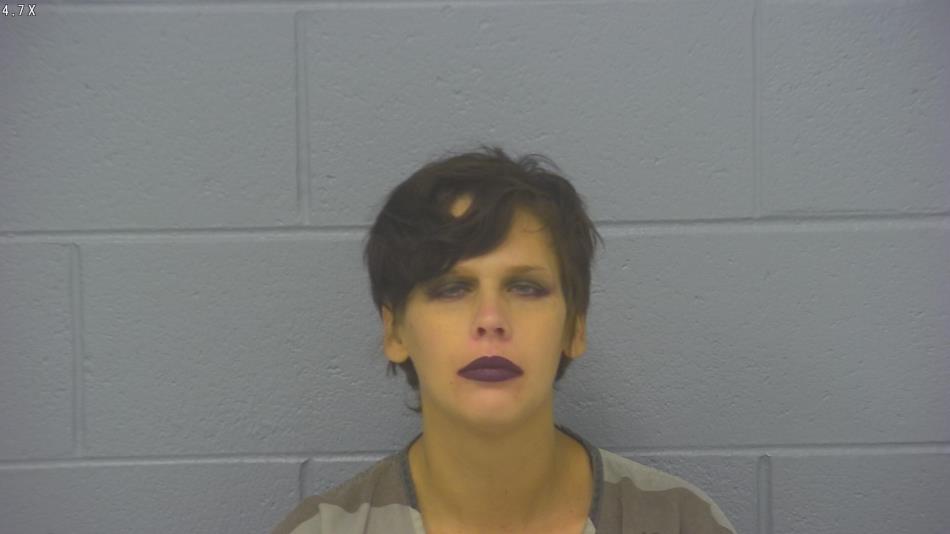 Arrest photo of MEGAN  LILLARD