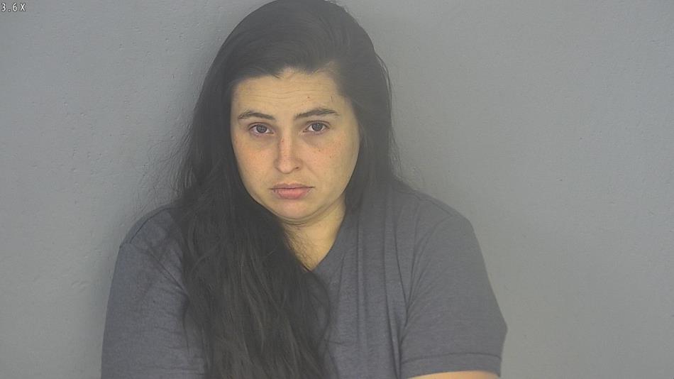 Arrest photo of MEGAN MCGUIRE