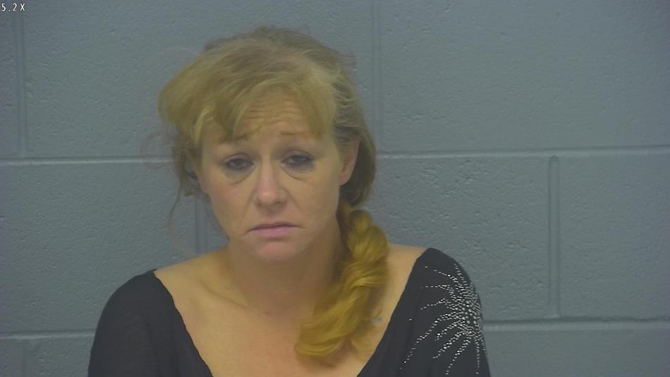 Arrest photo of MEGAN MCNABB