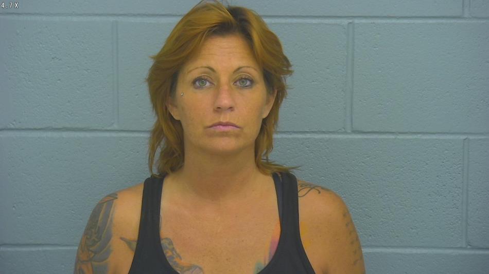 Arrest photo of MEGHAN O'LEARY