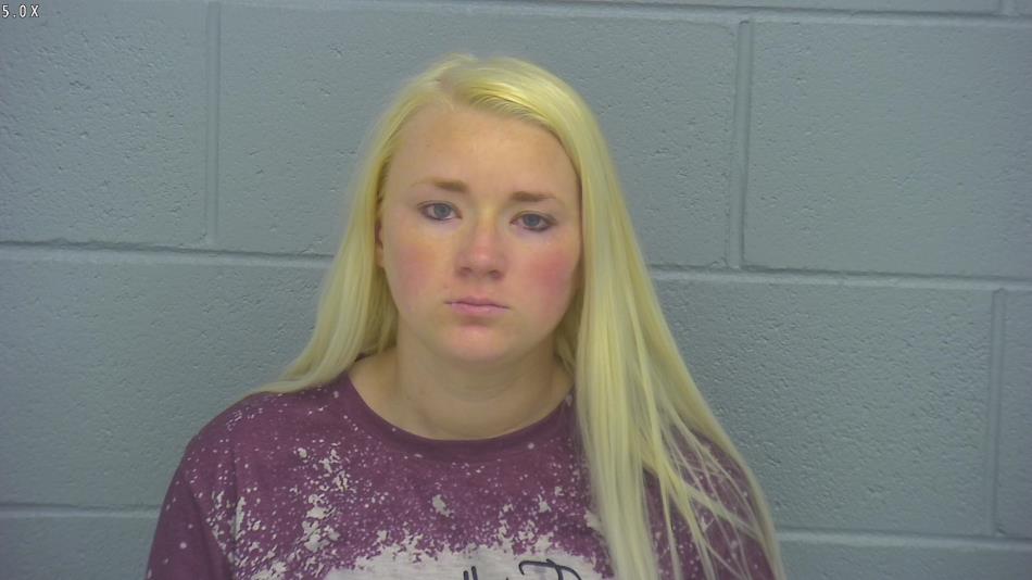 Arrest photo of MELINDA DINGER