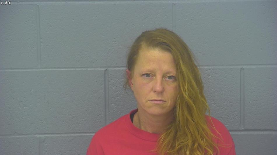 Arrest photo of MELINDA PLUMB