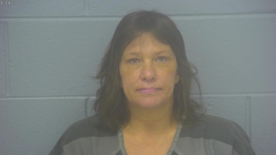 Arrest photo of MELISSA  DINKENS