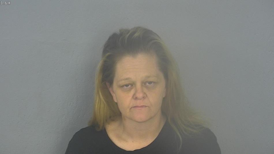 Arrest photo of MELISSA DRENNAN