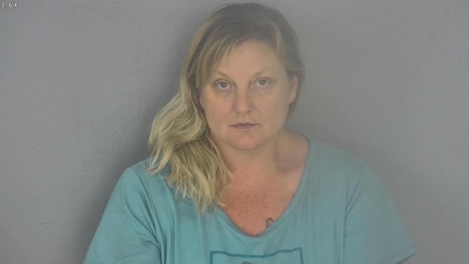 Arrest photo of MELISSA BRIDGES