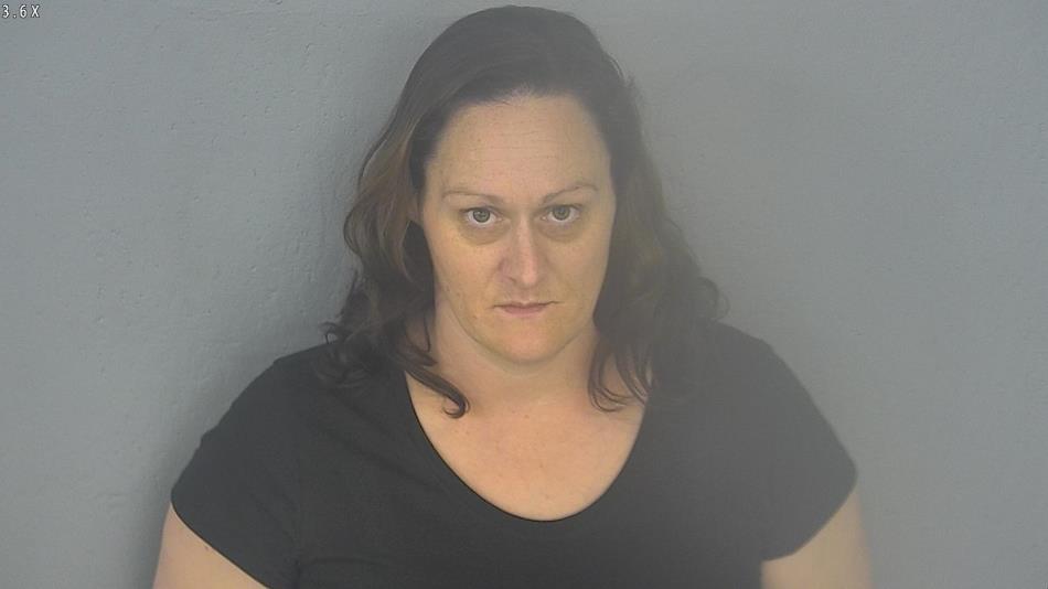 Arrest photo of MELISSA MATNEY