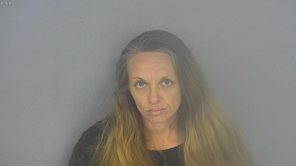 Arrest photo of MELISSA WILLIAMS