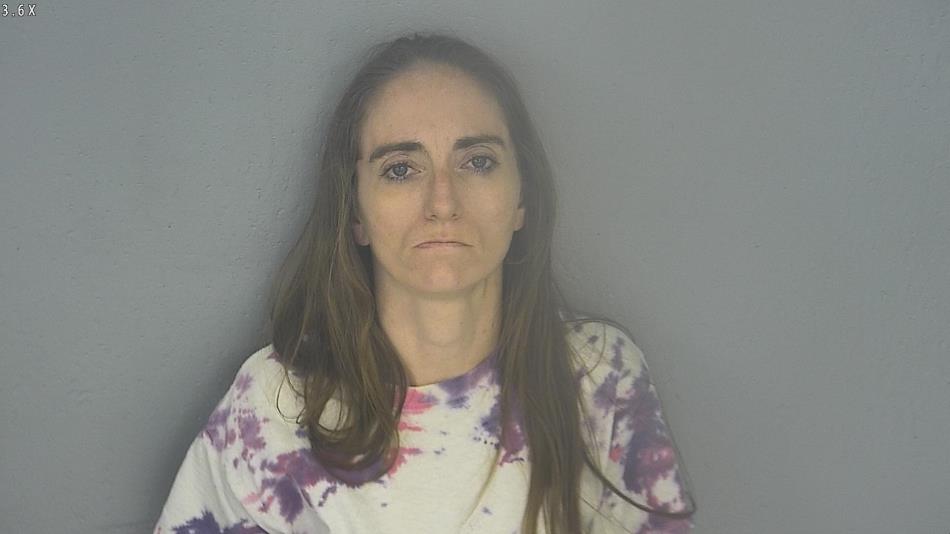 Arrest photo of MELISSA HOWARD