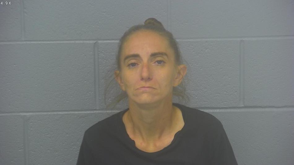 Arrest photo of MELISSA HOWARD