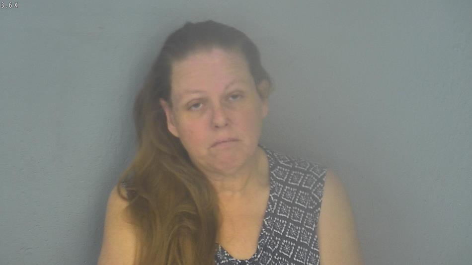 Arrest photo of MELISSA DUNKIN