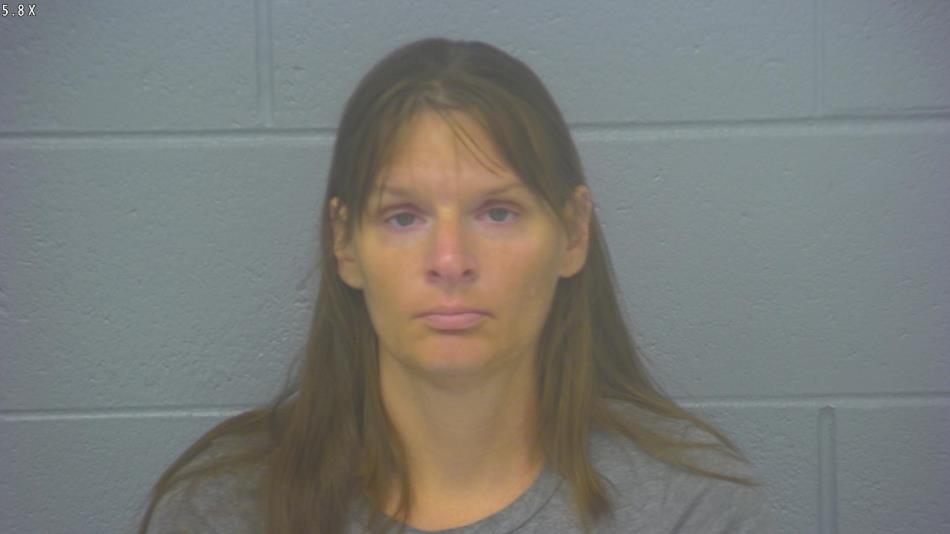 Arrest photo of MELISSA BEISLEY