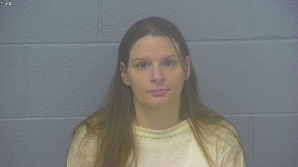 Arrest photo of MELISSA BEISLY