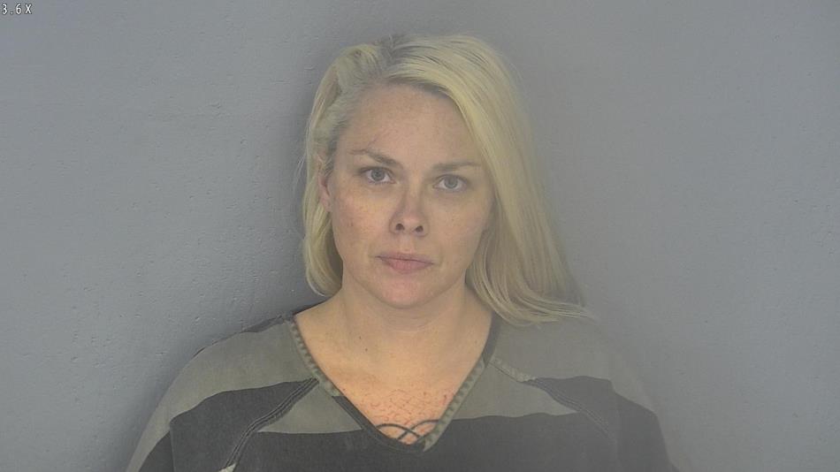 Arrest photo of MELISSA DODD