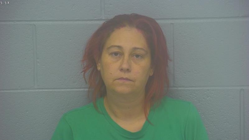 Arrest Photo of MELISSA COLLIER, arrested on 9/8/2025