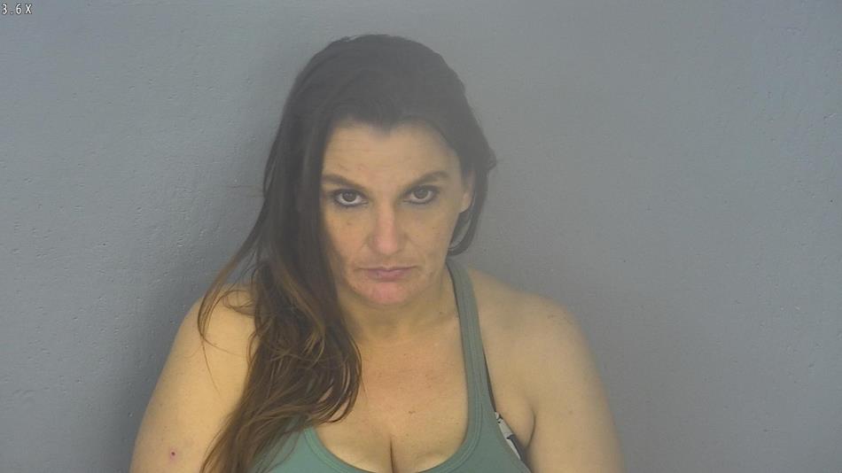 Arrest photo of MELISSA JAMES