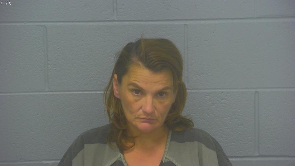 Arrest photo of MELISSA JAMES