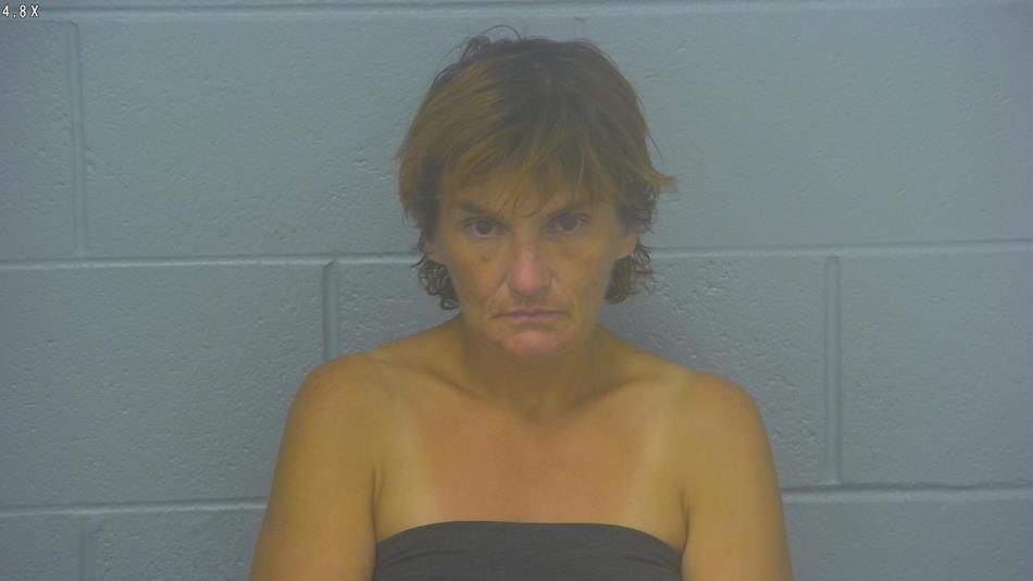 Arrest photo of MELISSA JAMES