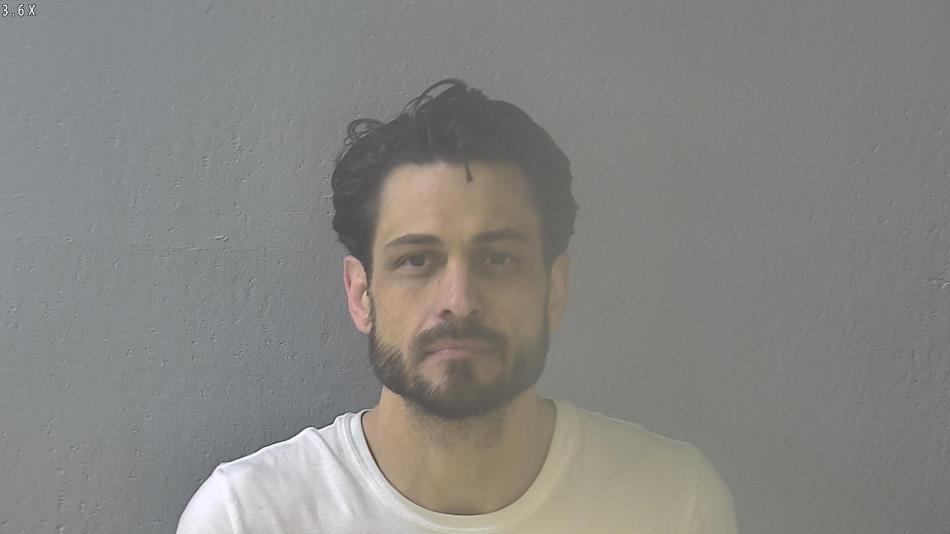 Arrest photo of MICHAEL HALE