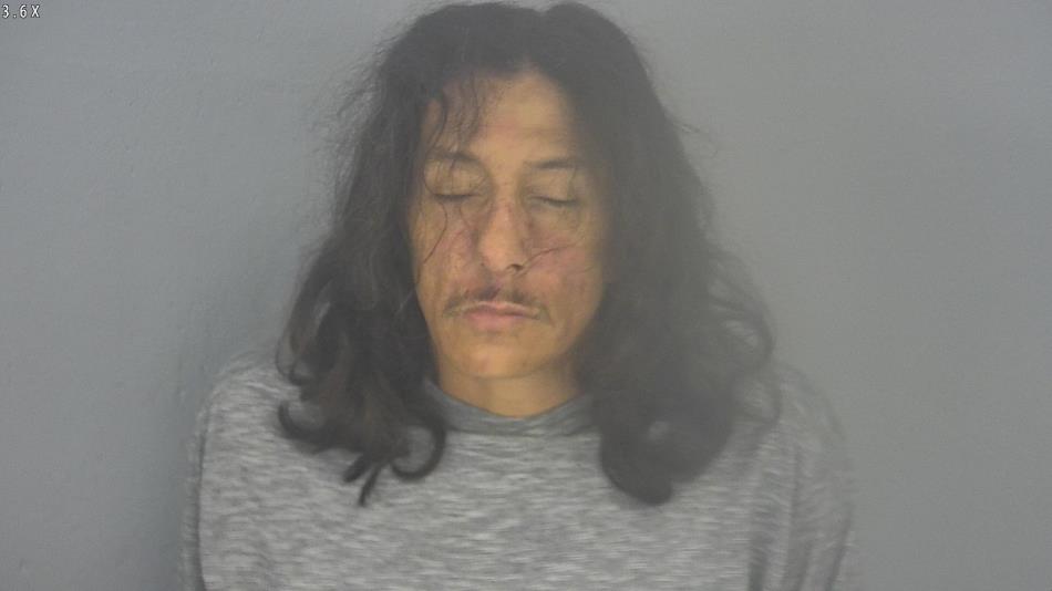 Arrest photo of MICHAEL SCHLEICH