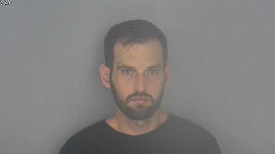 Arrest photo of MICHAEL FALK