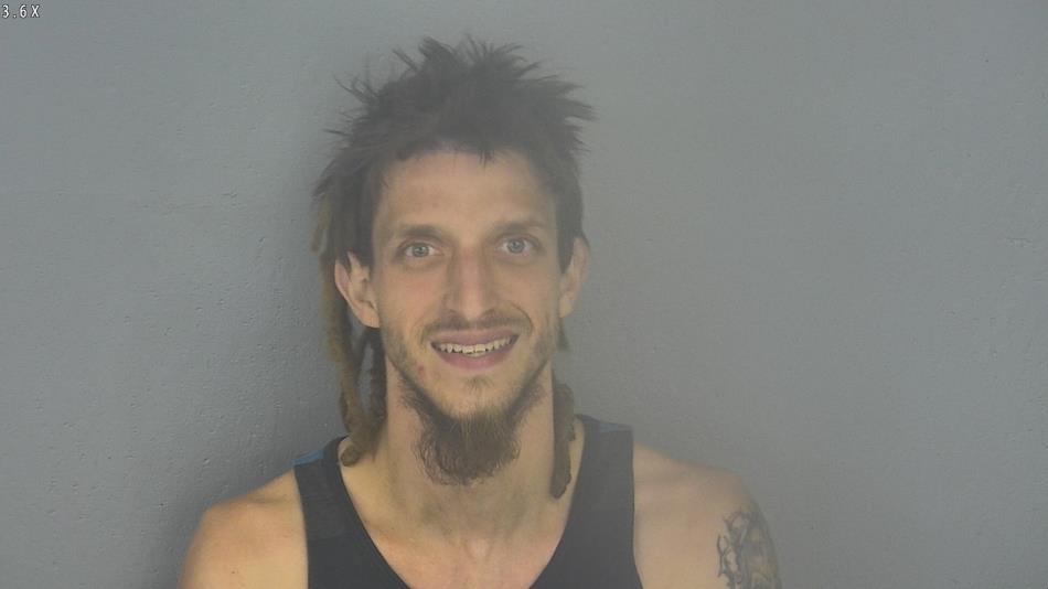 Arrest photo of MICHAEL LAYTON