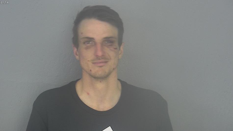 Arrest photo of MICHAEL SCHULTZ