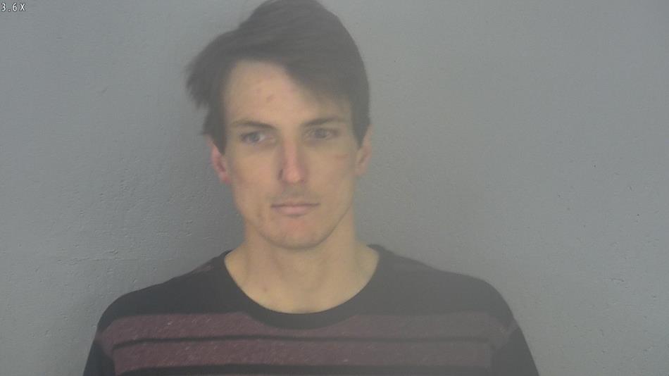 Arrest photo of MICHAEL SCHULTZ