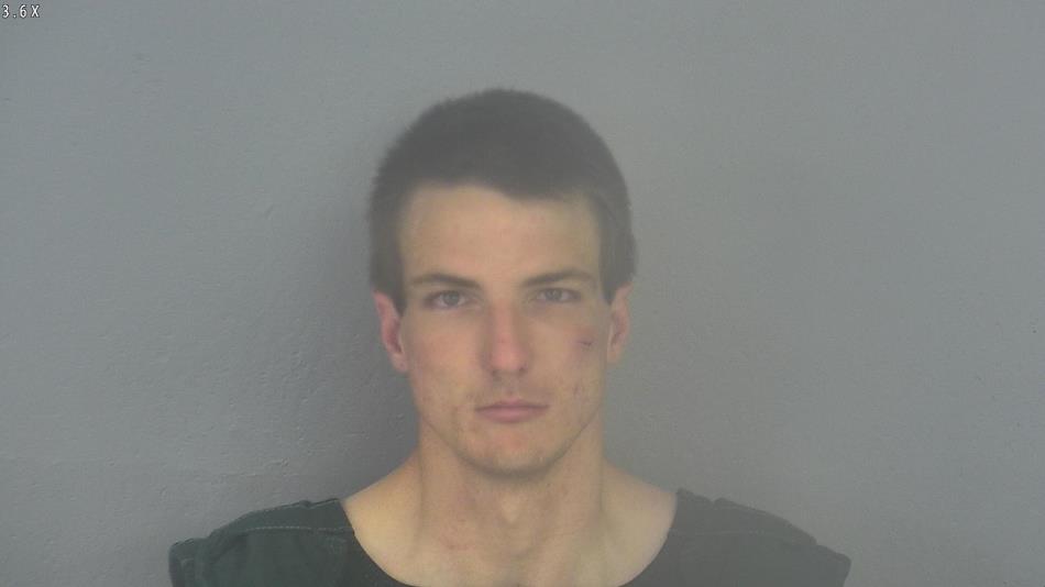 Arrest photo of MICHAEL SCHULTZ