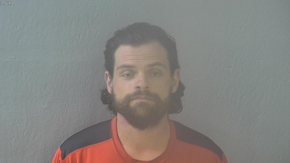 Arrest photo of MICHAEL HANSEN